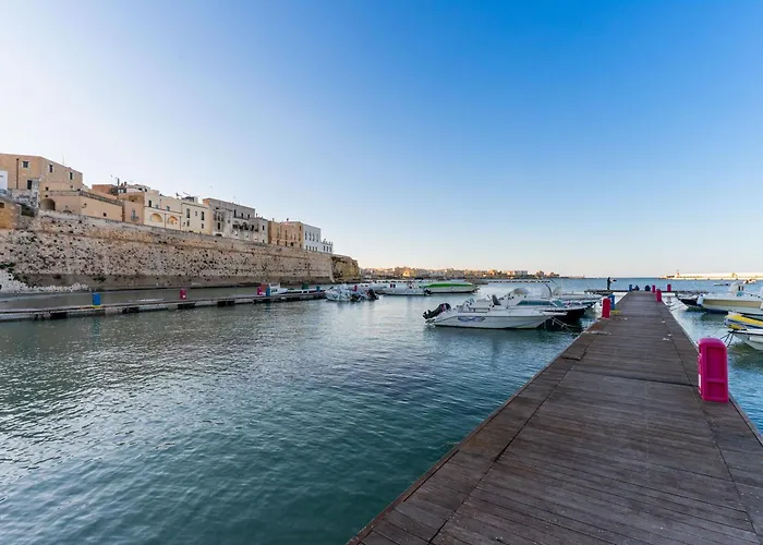 Andromeda's 度假居